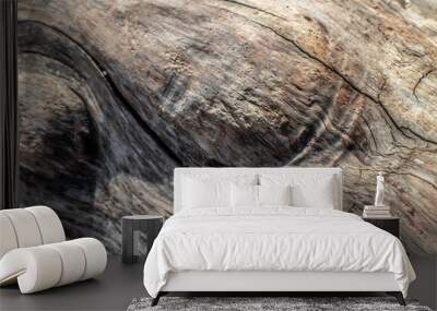 texture of wood Wall mural