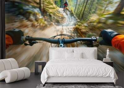 A fast downhill on the bicycle in the mountain valley from bikers view. Wall mural