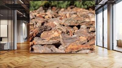 lawn made of pieces of tree bark Wall mural