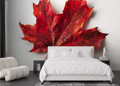 A vibrant red autumn leaf with crisp edges lying flat on a white background with shadows creating depth Wall mural