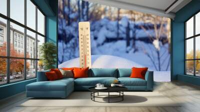 Thermometer in the snow on a background of trees in shadow, but a bright Sunny day Wall mural