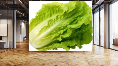  lettuce - 1 Wall mural