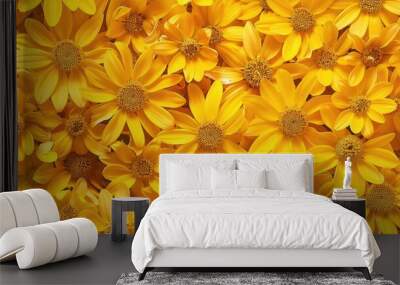 Background of yellow flowers Wall mural