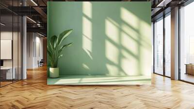 Interior mockup of a pastel green empty space featuring soft warm light streaming through a window with an abstract background and room for text Wall mural