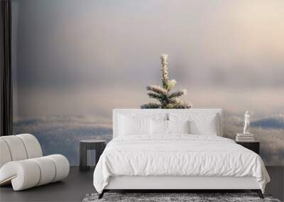 Tiny pine tree covered in snow Wall mural