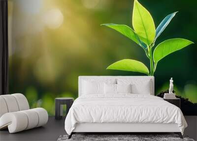 A young green plant growing in rich soil, symbolizing life, growth, and renewal under a bright sunlight. Wall mural