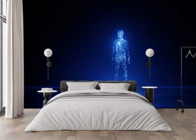 Digital human figure in a dark space. Virtual reality concept Wall mural