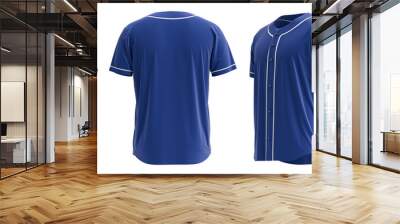 4K 3D HQ Rendered Baseball Jersey. With detailed and Texture.	Contrast piping  Wall mural