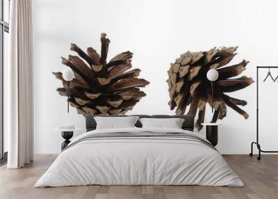 two pine cones on a white background Wall mural