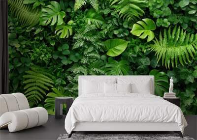 A vertical garden filled with a variety of ferns and vines, creating a living wall of greenery Wall mural