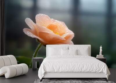 A lone peach flower, adorned with morning dew, stands gracefully against a soft background, encapsulating peace and tranquility in its gentle beauty. Wall mural