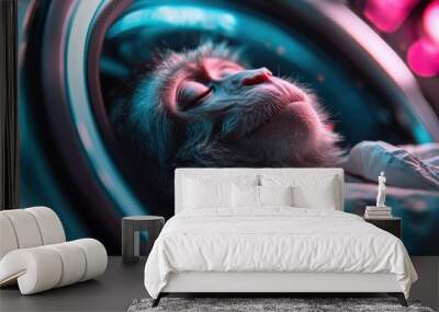 A peaceful monkey dressed as an astronaut, resting inside a space capsule. The image blends the innocence of the animal with the ambition of space exploration. Wall mural