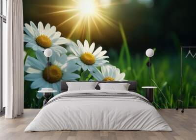 A serene view of daisy flowers basking under warm sunlight in a lush green field, capturing the essence of nature's tranquility and beauty in early morning light. Wall mural