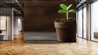 A sprouting green plant positioned in a biodegradable pot filled with dark, rich soil placed on a wooden surface, illustrating growth and an eco-friendly approach to gardening. Wall mural