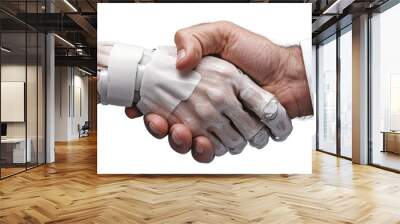 This image shows a close-up of a handshake between a human hand and a robotic hand, representing technology integration, unity, cooperation, and futuristic collaboration. Wall mural