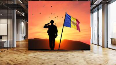 Silhouette of a soldier with the Andorra flag stands against the background of a sunset or sunrise. Concept of national holidays. Commemoration Day. Wall mural