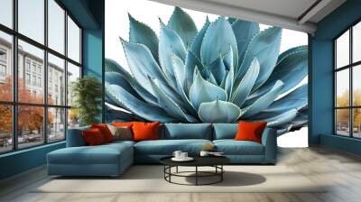 Agave plant on white background Wall mural