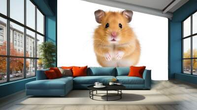 cute hamster standing. Isolated on white background Wall mural