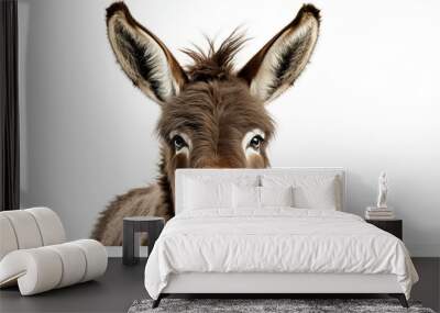 Donkey isolated on white background Wall mural