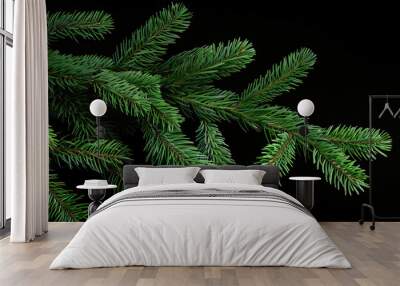 Green Fir Tree Branch Close-Up Isolated on Black Background, Evergreen Branch Detail, Pine Needle Texture, Christmas Tree Branch Wall mural