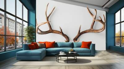 Large deer antlers on white background striking and impressive natural antlers detailed and majestic design prominent and bold visual clean and elegant presentation of wildlife features Wall mural