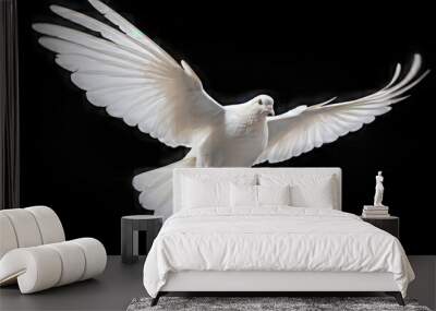 white dove isolated on black background Wall mural