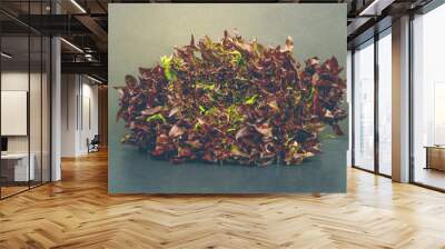 A bunch of fresh aromatic salad greens on a beautiful background Wall mural