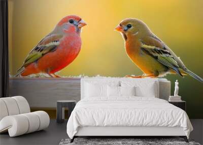 Two finches with bright plumage standing on a wooden bird feeder in the soft light of the morning sun Wall mural