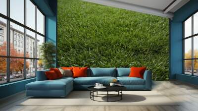 Lush Green Grass Texture Background Wall mural