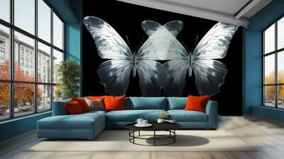 Macro photography of two butterflies with big wings, black and white colors concept, x-ray style. Creative image for printing. Wall mural