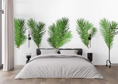 A set of Christmas tree green branches for a Christmas decor. Branches fir tree, pine isolated. Wall mural