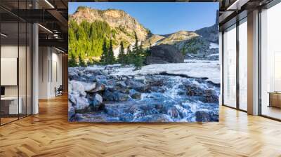 Volcanic mountain with patches of snow melting into raging streams of water runoff. Wall mural