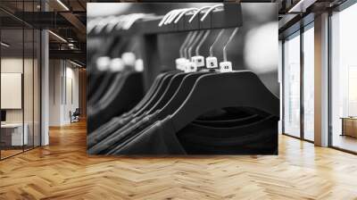 A black-and-white image of hangers hanging in the store, on which hang simple casual t-shirts of different sizes. Wall mural