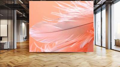 A bird's feather of color peach fuzz. Wall mural