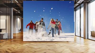 friends have fun at winter on fresh snow Wall mural