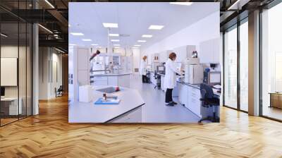 scientists working at the laboratory Wall mural