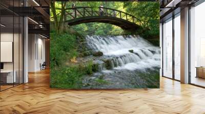 wooden bring over small waterfall Wall mural