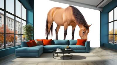 A majestic brown horse grazing peacefully in a lush green field, showcasing the beauty of nature and equine serenity. Wall mural