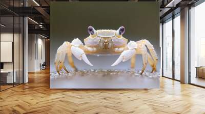 Close-up of a crab with wet claws on a blurred background. Wall mural