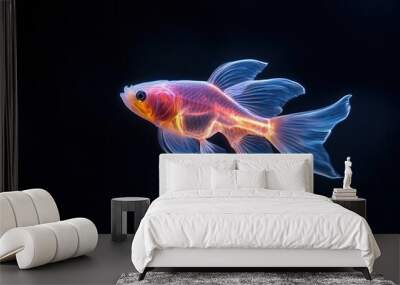 Colorful goldfish swimming gracefully in a dark aquarium background. Wall mural