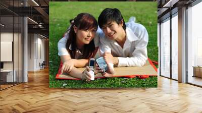 young asian couple with phone in park 2 Wall mural