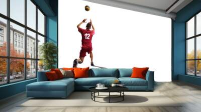 Professional valleyball player isolated on white Wall mural