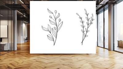 Floral element vector set. Flower outline collection. Wall mural