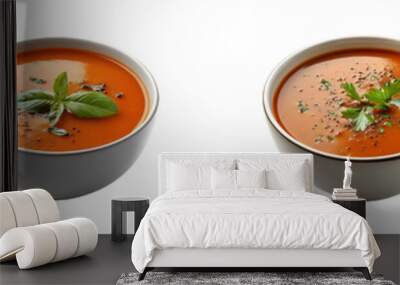 Set, collection of Bowl of tomato soup isolated on transparent background. Wall mural