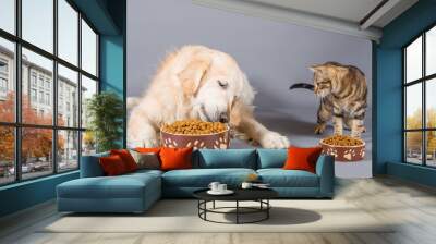 Dog and cat eating Wall mural