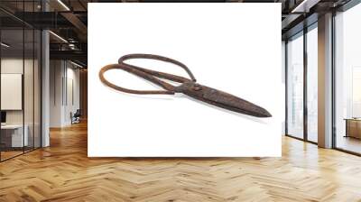 Old rusty scissors on white background Wall mural