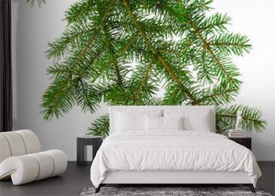 Christmas plants. fir branch . Christmas winter botanical decor . Coniferous twig . isolated on transparent, png Wall mural