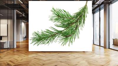 Pine branch on transparent without shadow. PNG. Close-up. Christmas. New Year. Wall mural