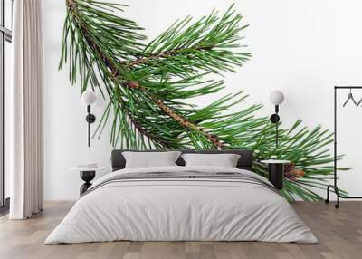 pine branch with cones, isolated without a shadow. Close-up. Christmas. New Year. Wall mural