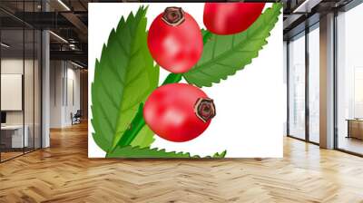 rosehip rose berry hip. fruit leaf, tea red, plant vitamin, healthy natural, briar organic, herbal wild, medicine rosehip rose berry hip . on transparent, png.seasonal autumn berries with green leaves Wall mural